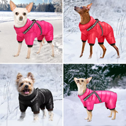 Waterproof Dog Jacket