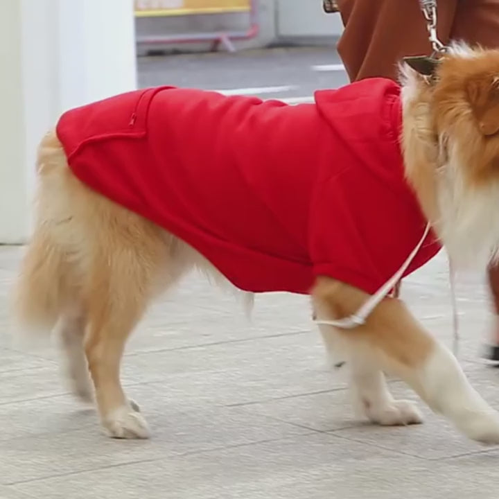 Fleece Pet Hoodie with Hat