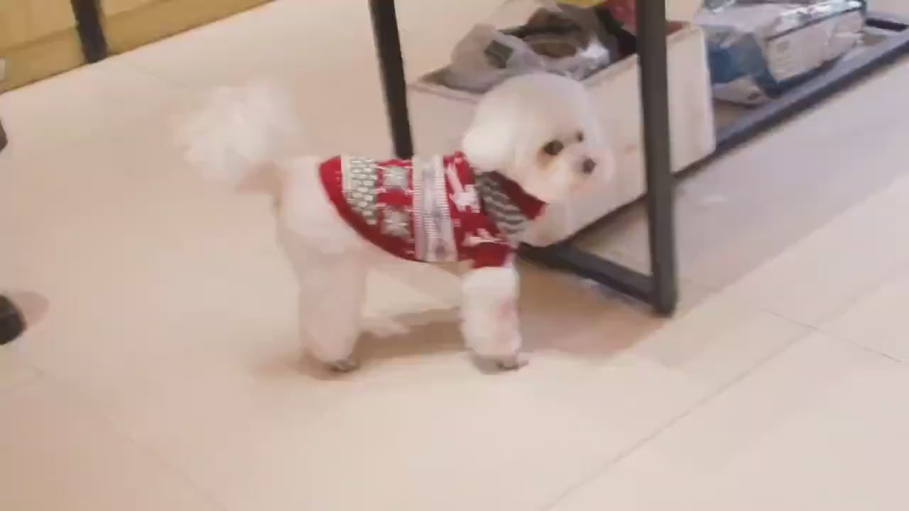 Christmas Pet Sweater