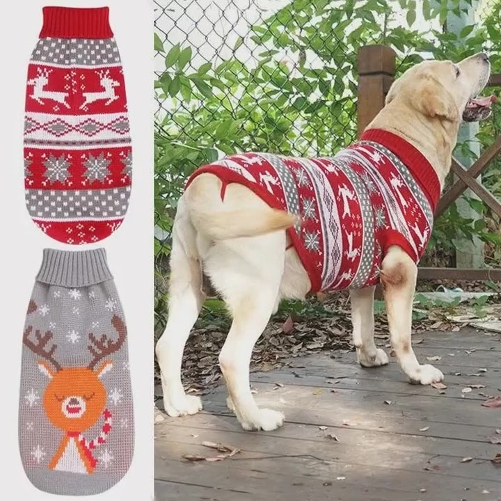 Cozy Winter Knitted Dog Sweater